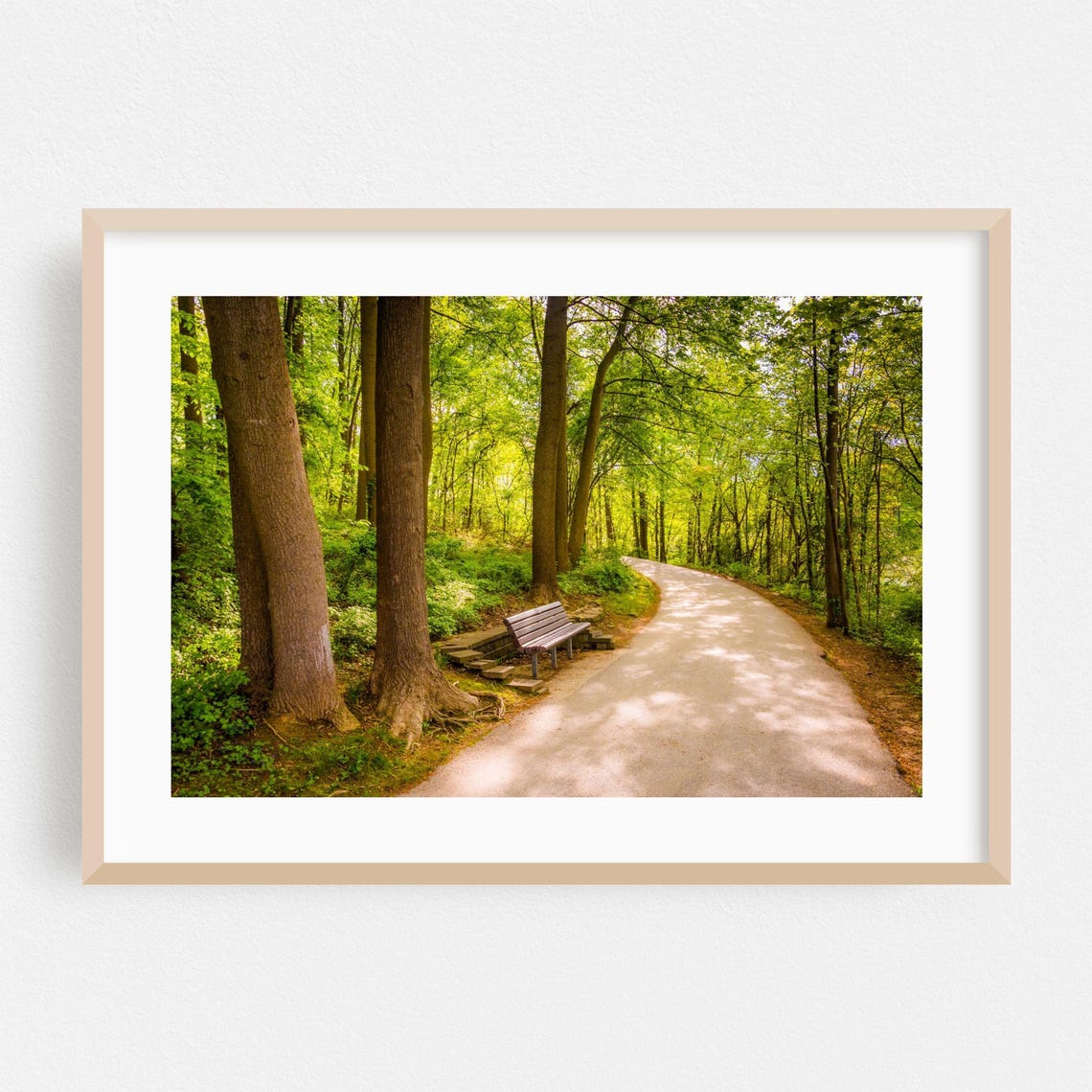 Ellicott City Maryland Forest Path Bench Photo Art Print Decor