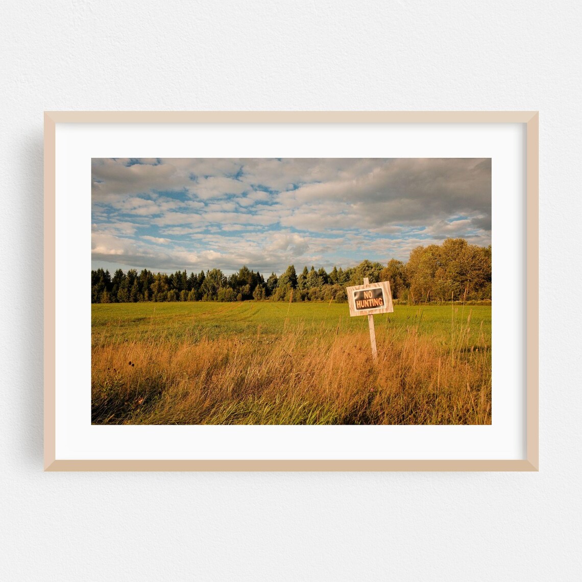 No Hunting Sign In Golden Autumn Field Vermont Countryside Poster