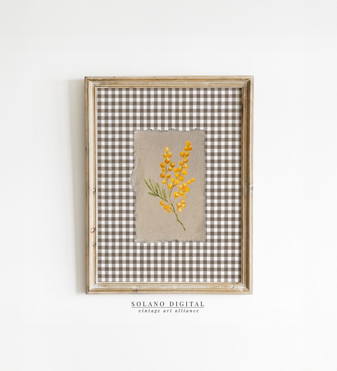 Yellow Mimosa Flowers Gingham Check Vintage Botanical Poster