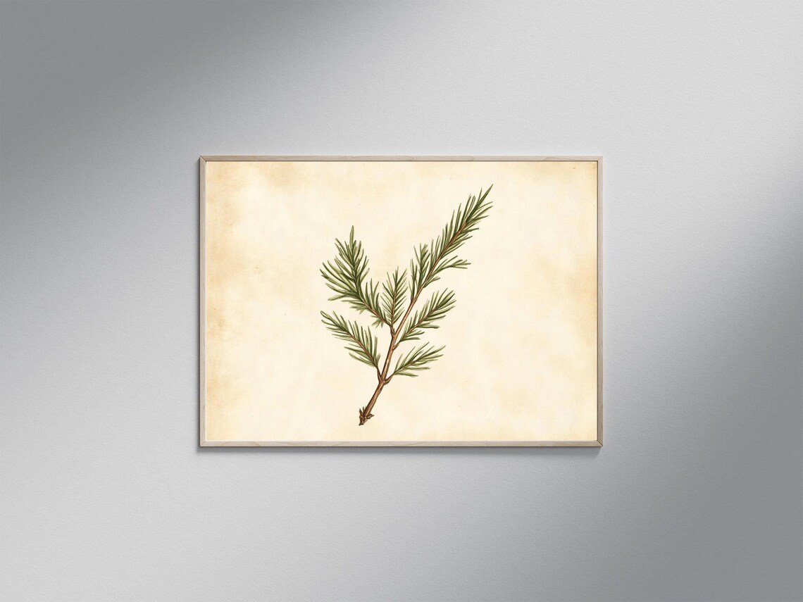 Botanical Pine Branch Minimalist Nature Poster