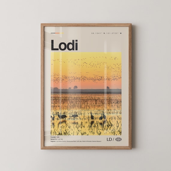 Lodi California Wine Country Wetlands Sunset Birds Lake Travel Poster