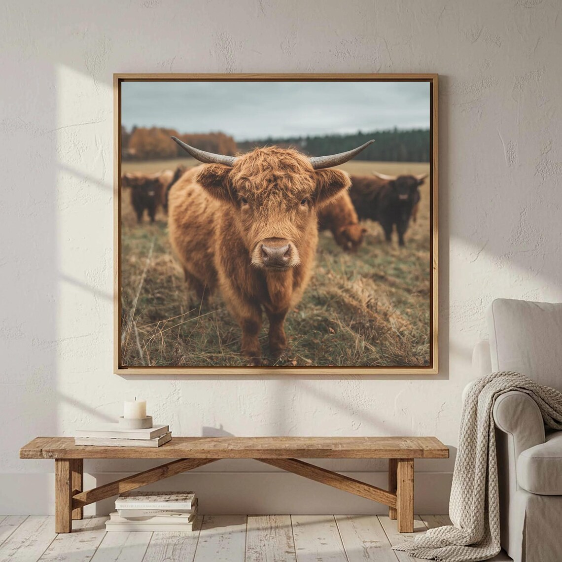 Highland Cow Close Up Portrait Rustic Farmhouse Animal Poster