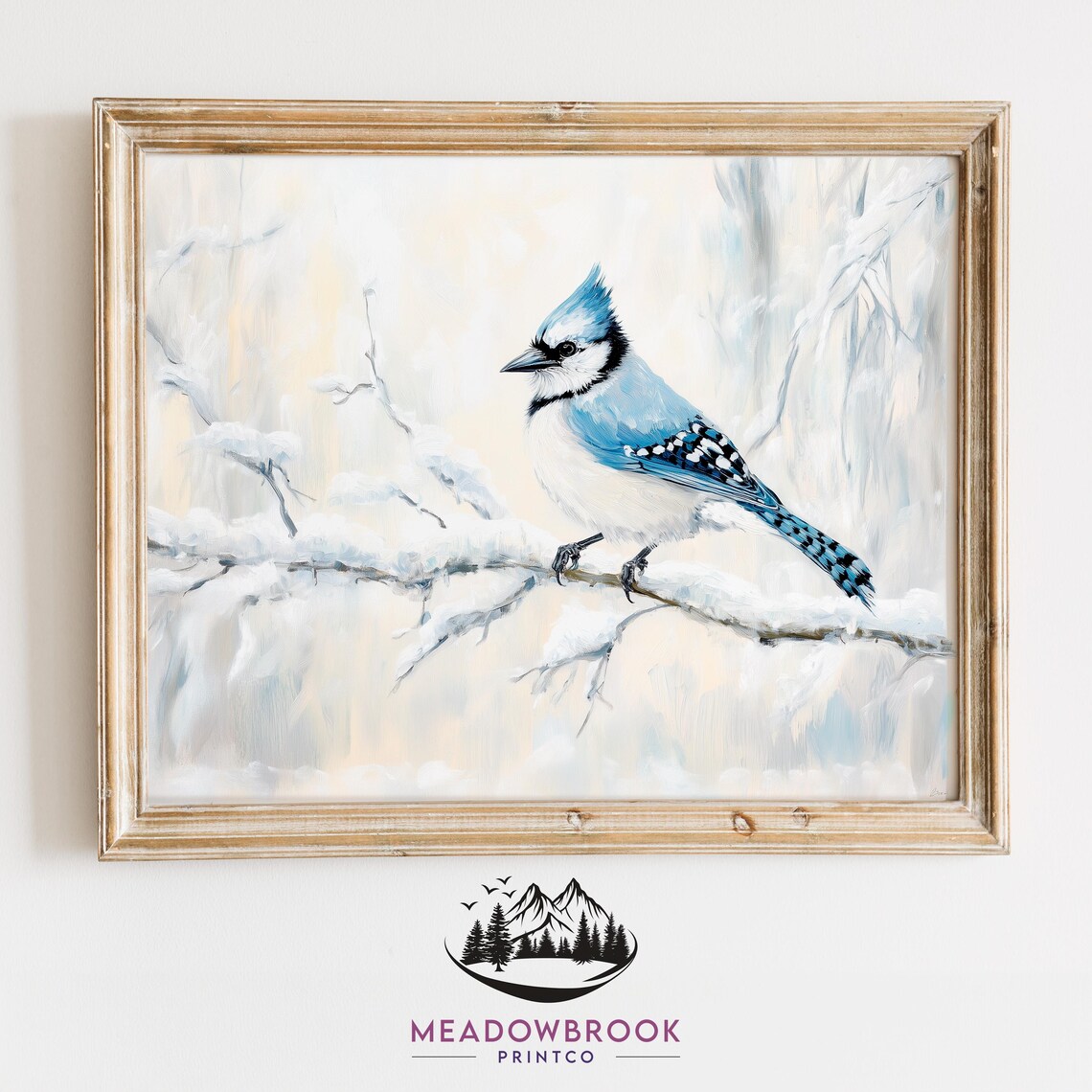 Lone Blue Jay Perched On Snowy Branch, Vintage Christmas