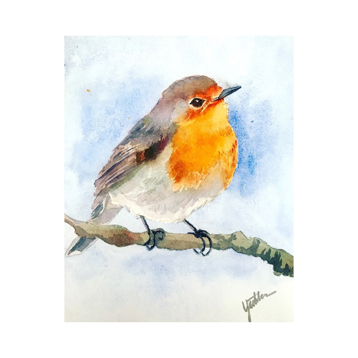 European Robin With Orange Breast Watercolor Songbird Poster