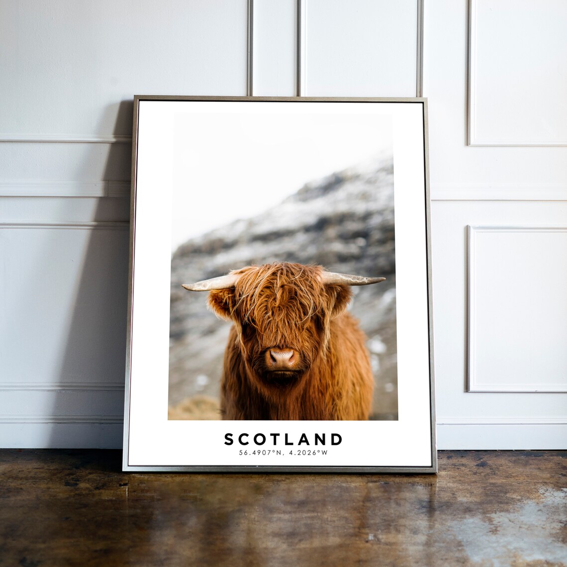Scotland Highland Cow Cattle Portrait Travel Coordinates Photo Poster - Image 5