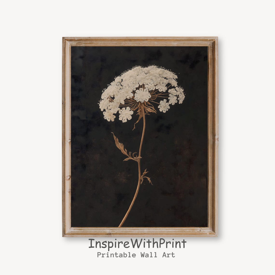 One White Wildflower Glowing On Black Moody Botanical Art Poster