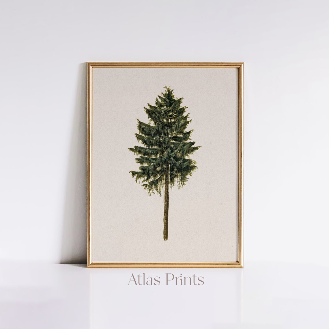 Single Pine Tree Minimalist Evergreen Vintage Neutral Christmas Poster