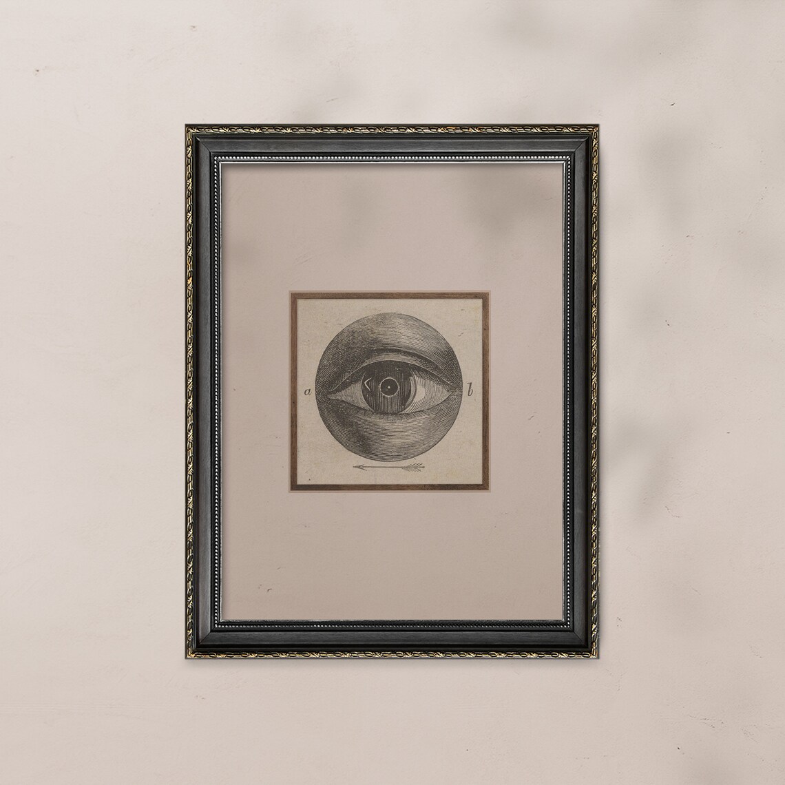 Odd Vintage Engraved Eye Diagram Surreal Antique Anatomy Poster - Image 5