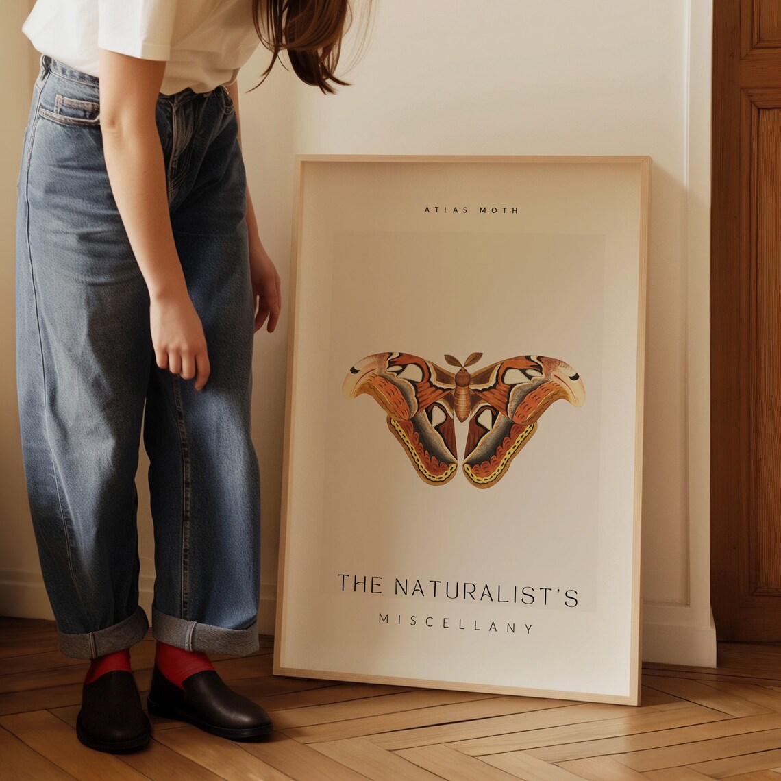 The Naturalist Miscellany Atlas Moth Vintage Poster - Image 3