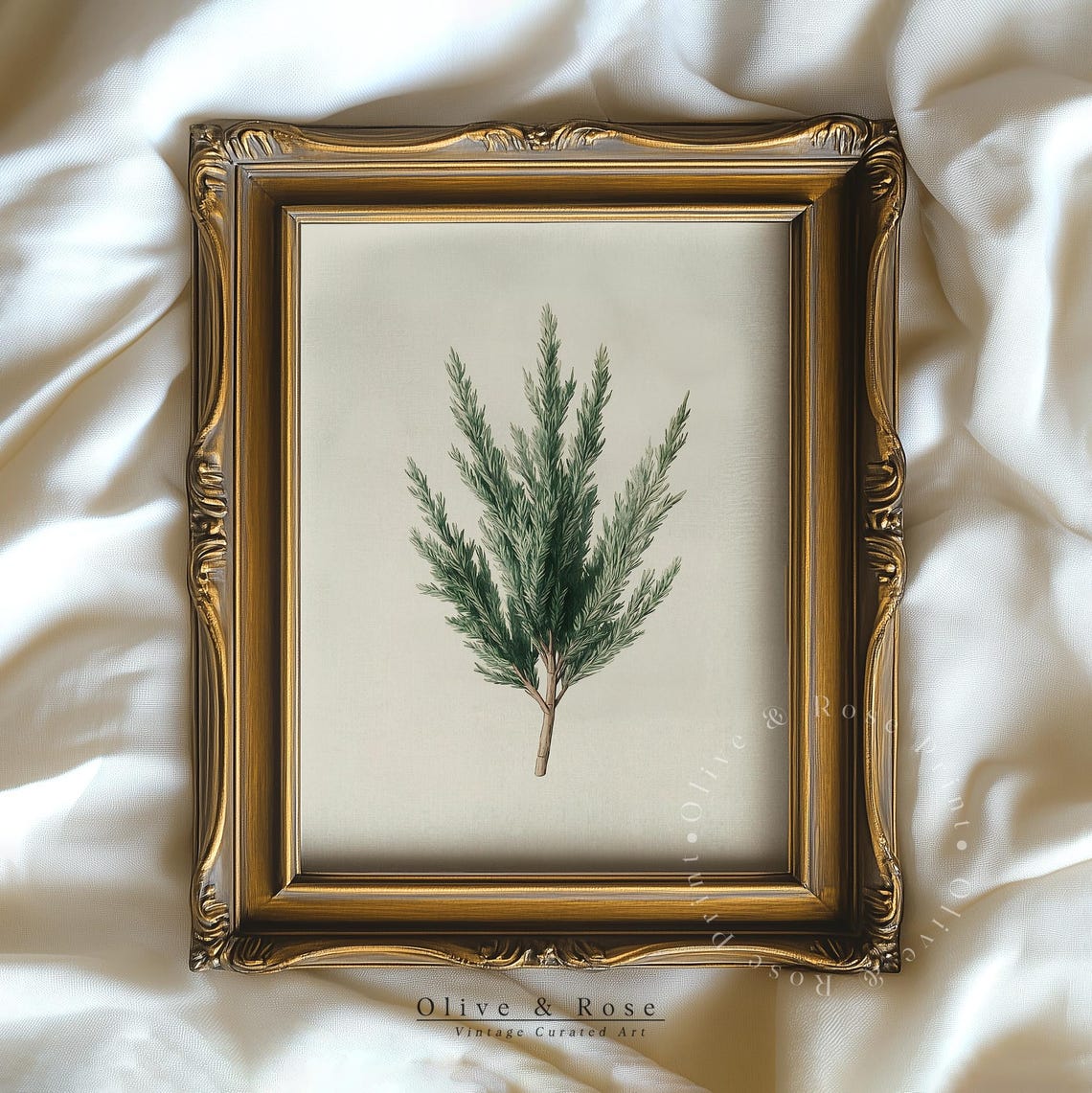 Juniper Evergreen Branch Watercolor Minimal Neutral Botanical Wall Art