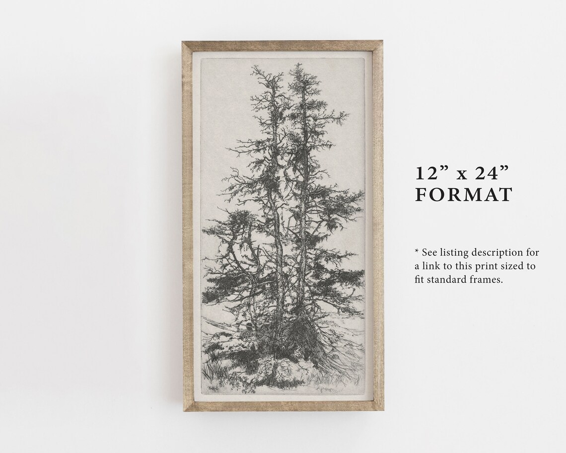 Vintage Tree Sketch Botanical Forest Art Print - Image 3