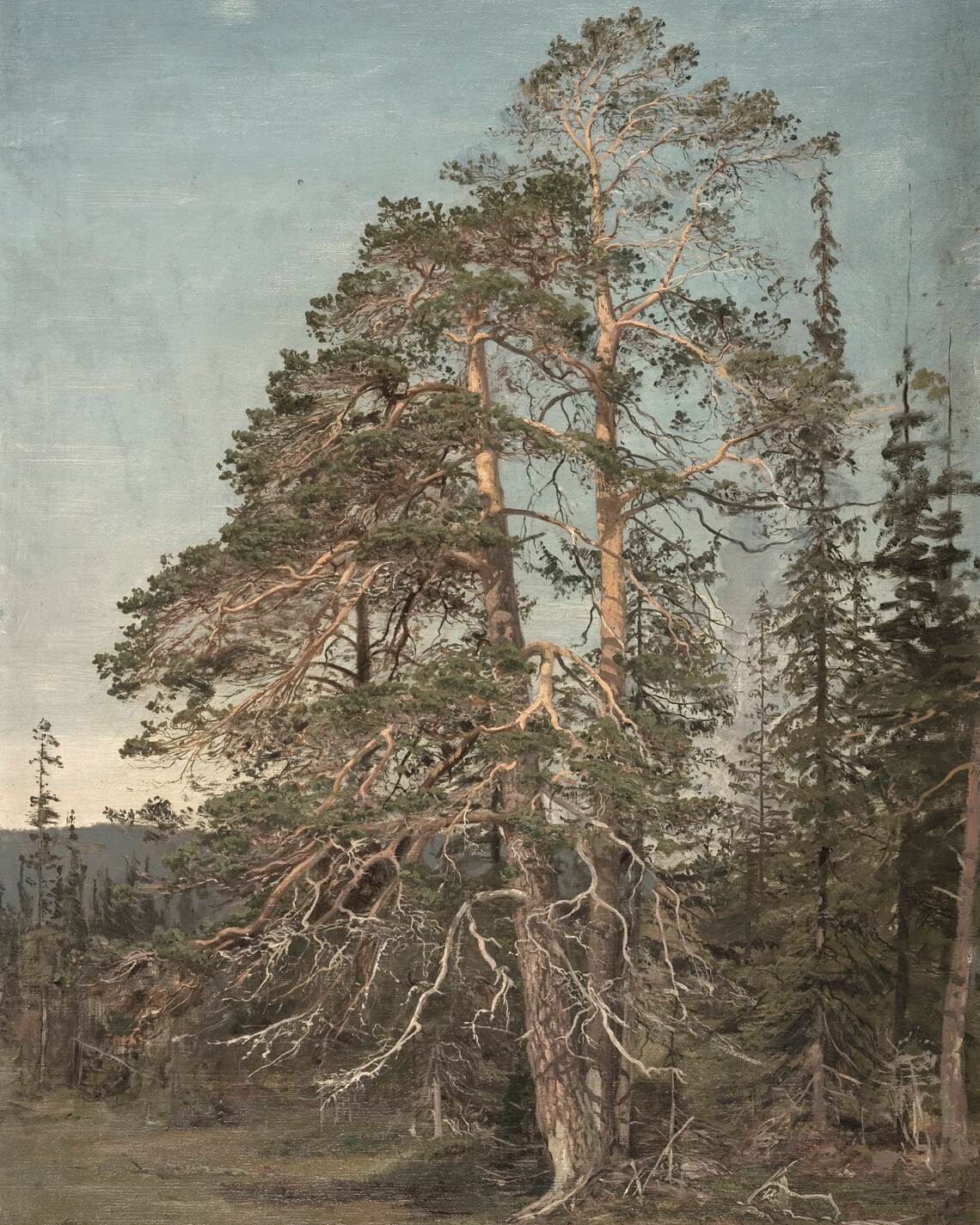 Vintage Forest Landscape, Pine Tree Art Print - Image 2