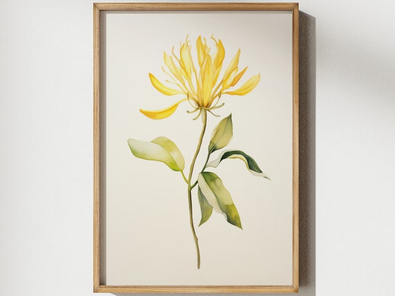 Honeysuckle June Birth Flower Watercolor Art Print