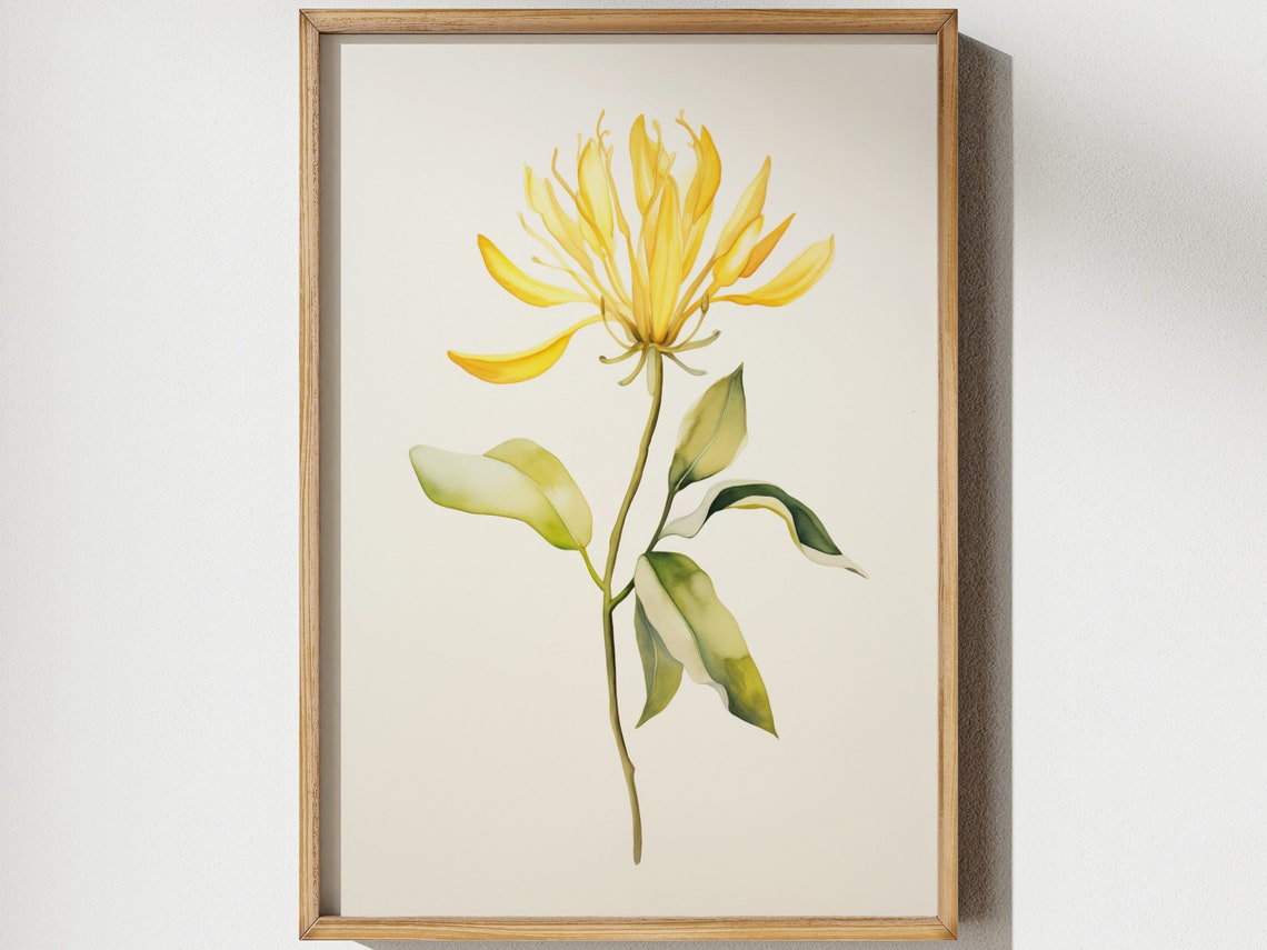 Honeysuckle June Birth Flower Watercolor Art Print
