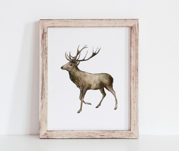 Watercolor Stag Deer Winter Woodland Christmas Animal Art Poster
