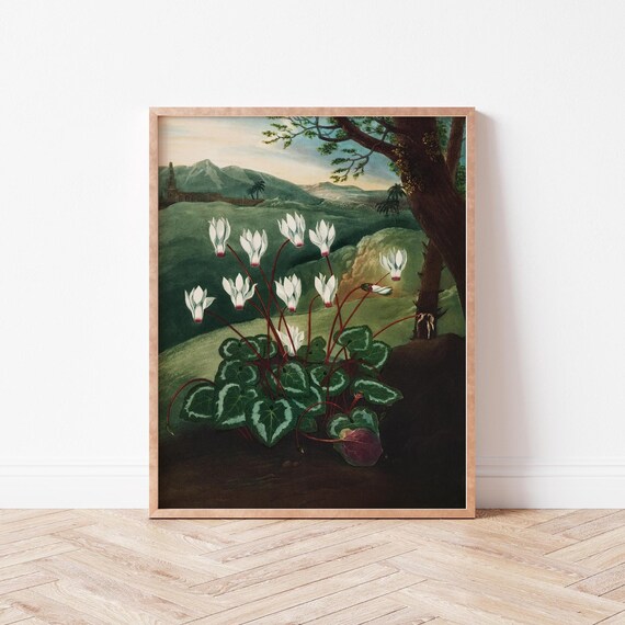 Dark Botanical White Flower Wall Art Maximalist Decor Water Lily Floral Illustration Academia Jt0006