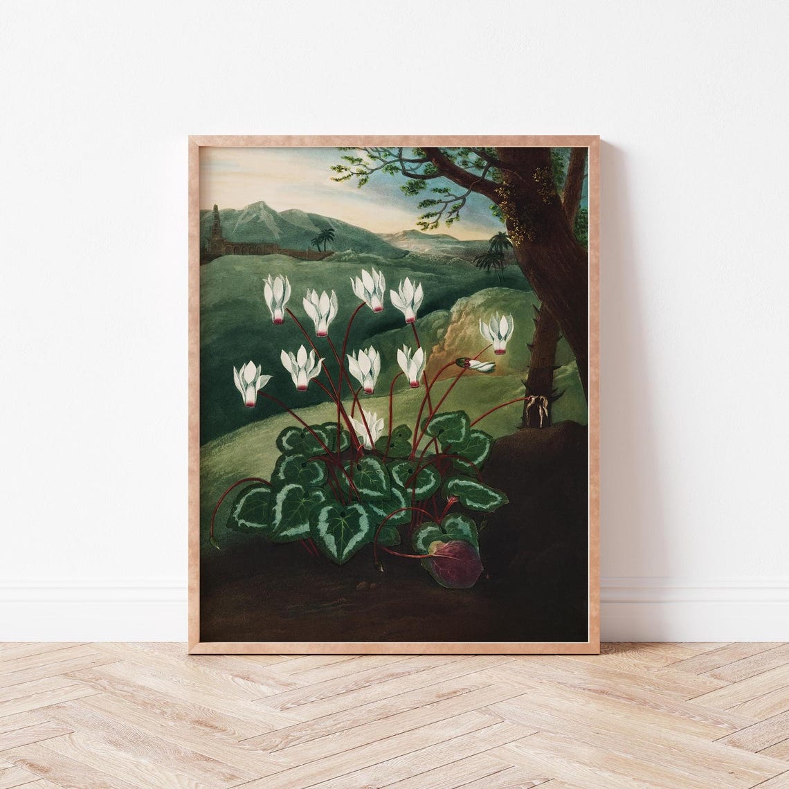 Dark Botanical White Flower Wall Art Maximalist Decor Water Lily Floral Illustration Academia Jt0006