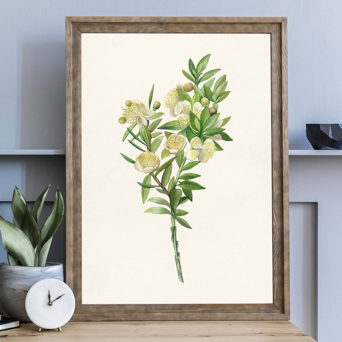 Vintage White Myrtle Flower Botanical Illustration Floral Art Poster - Image 3