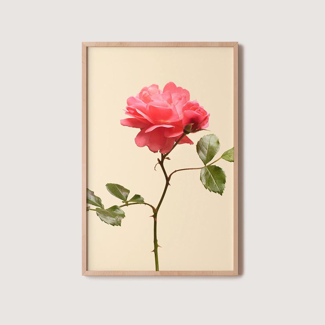 Pink Rose Single Stem Cream Background Minimalist Floral Photo Poster