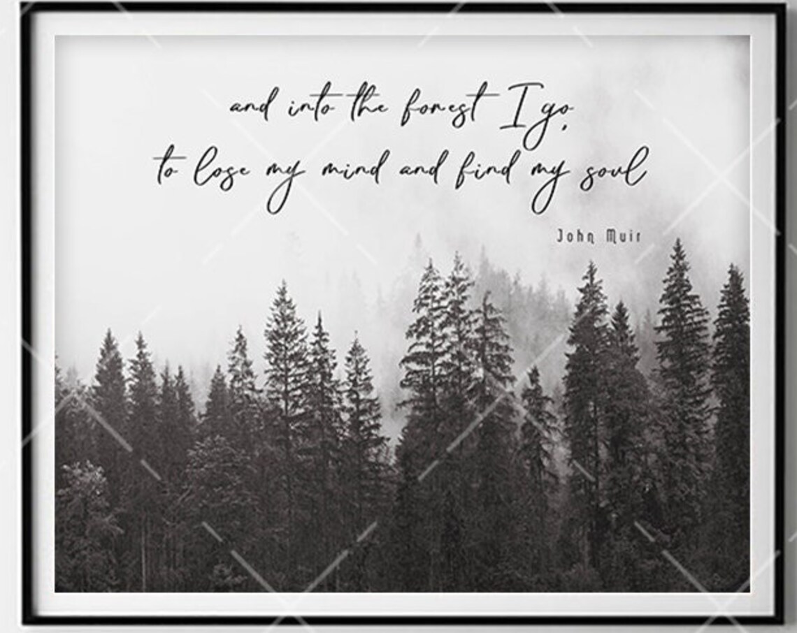 John Muir Quote, Watercolor Forest Poster Print