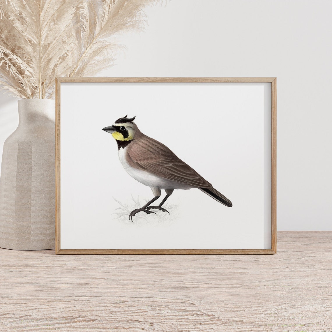 Horned Lark with Yellow Face Mask Bird Illustration Artwork Poster