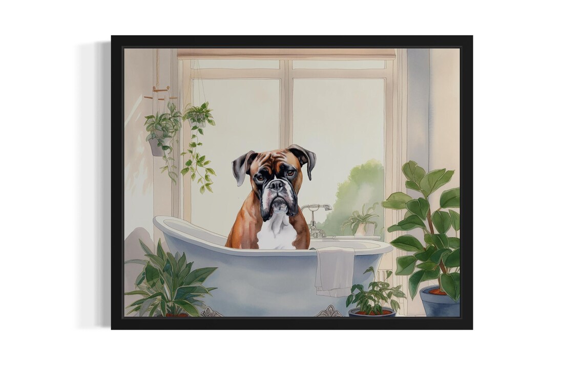 Boxer Dog In Vintage Bathtub Sunlit Window Bathroom Art Poster