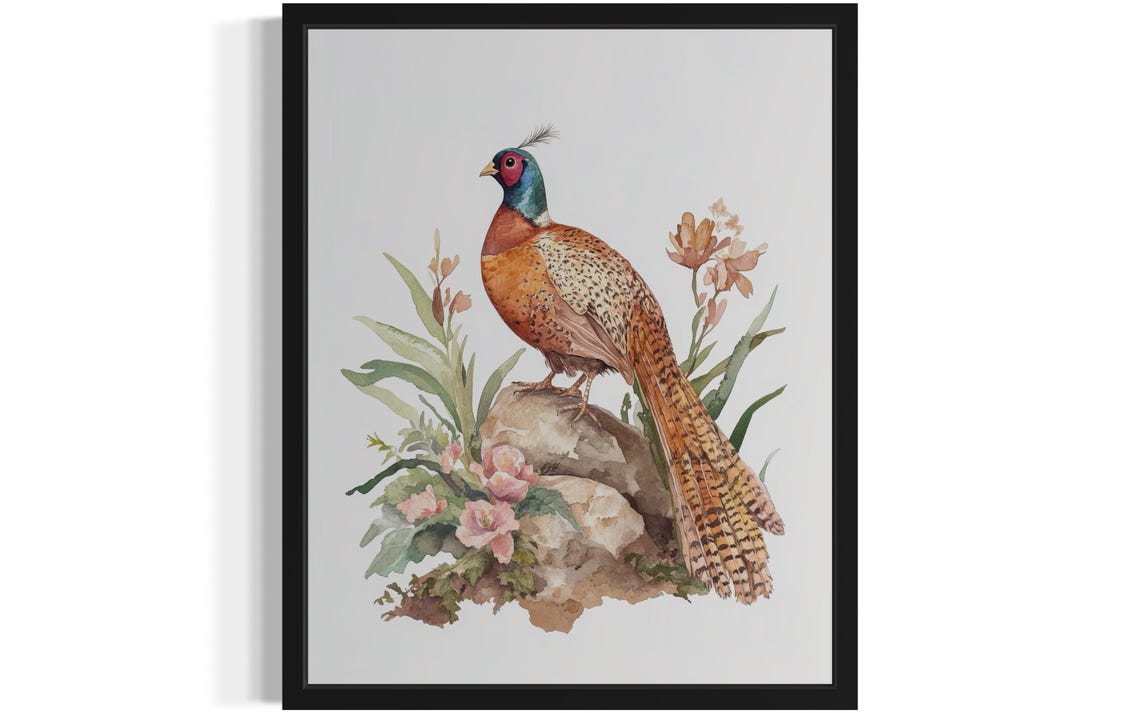 Ring Necked Pheasant Standing on a Rock Watercolor Game Bird Poster