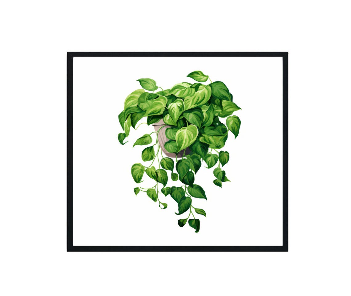 Pothos Plants, Original Paint Artwork