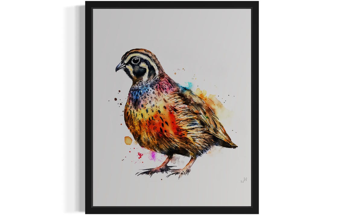 Bobwhite Quail in Side Profile Colorful Watercolor Bird Art Poster