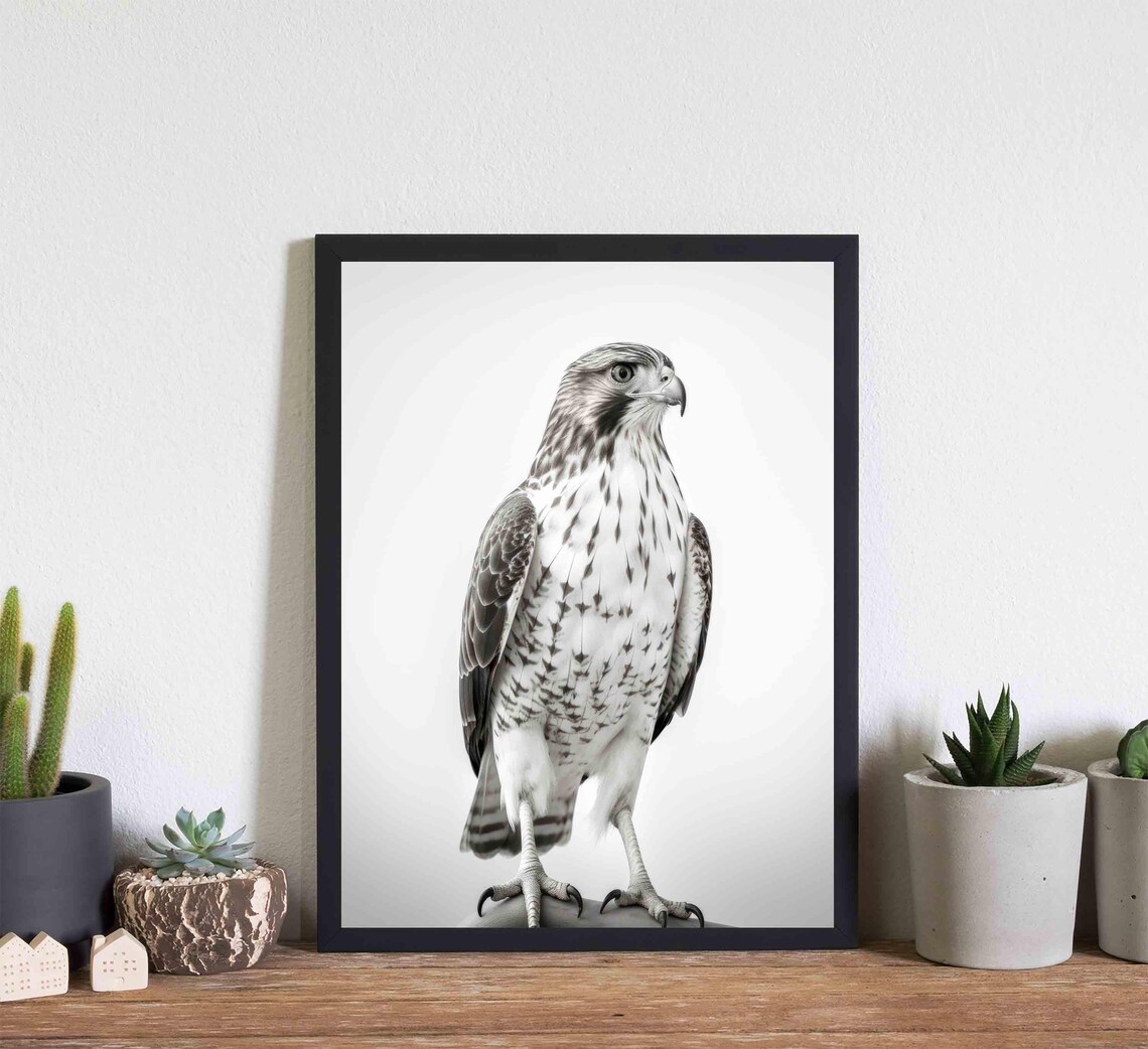 Hawk Black and White Perched Bird of Prey Portrait Wildlife Poster - Image 2