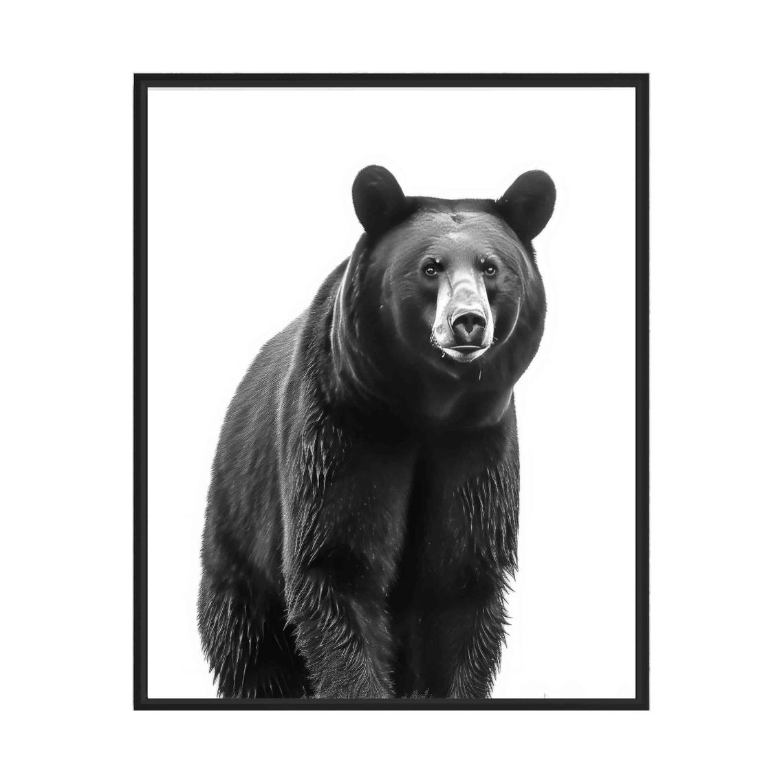 Majestic Black Bear Standing Portrait in Black and White Art Poster