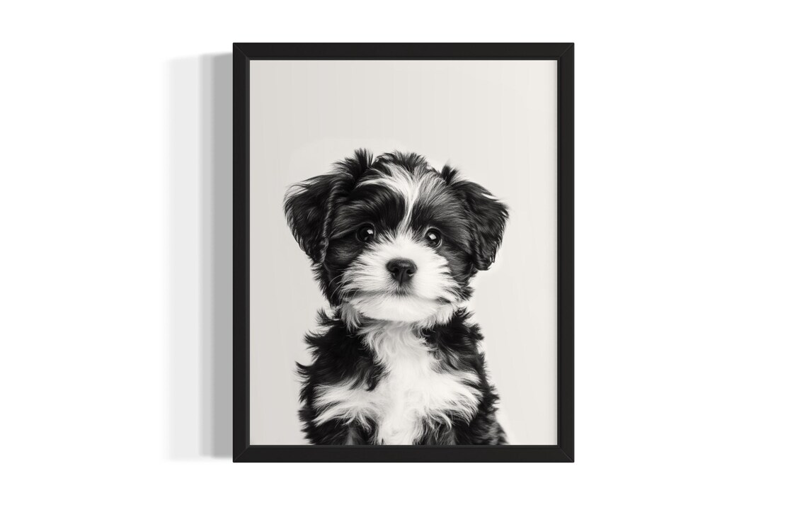 Fluffy Black and White Puppy Portrait Minimalist Nursery Poster