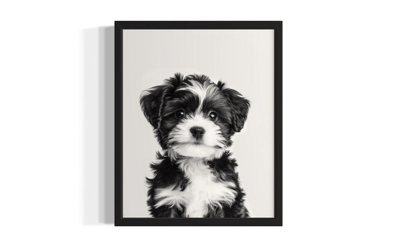 Fluffy Black and White Puppy Portrait Minimalist Nursery Poster