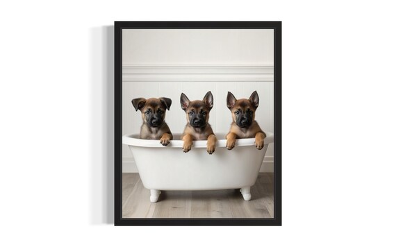 Belgian Malinois Puppies In A White Bathtub Cute Puppy Bath Poster