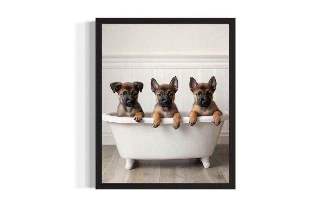 Belgian Malinois Puppies In A White Bathtub Cute Puppy Bath Poster