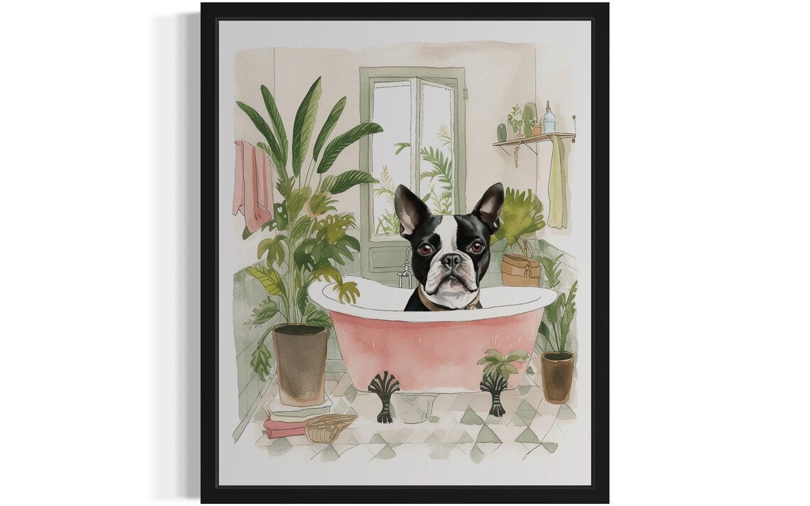 Boston Terrier Bath Time Pink Clawfoot Tub Botanical Art Poster