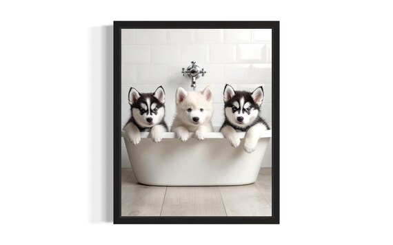 Alaskan Malamute Puppies In A Bathtub Cute Bathroom Nursery Wall Decor Poster