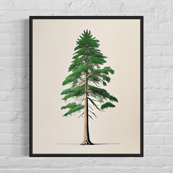 Eastern Hemlock Tree Minimalist Poster