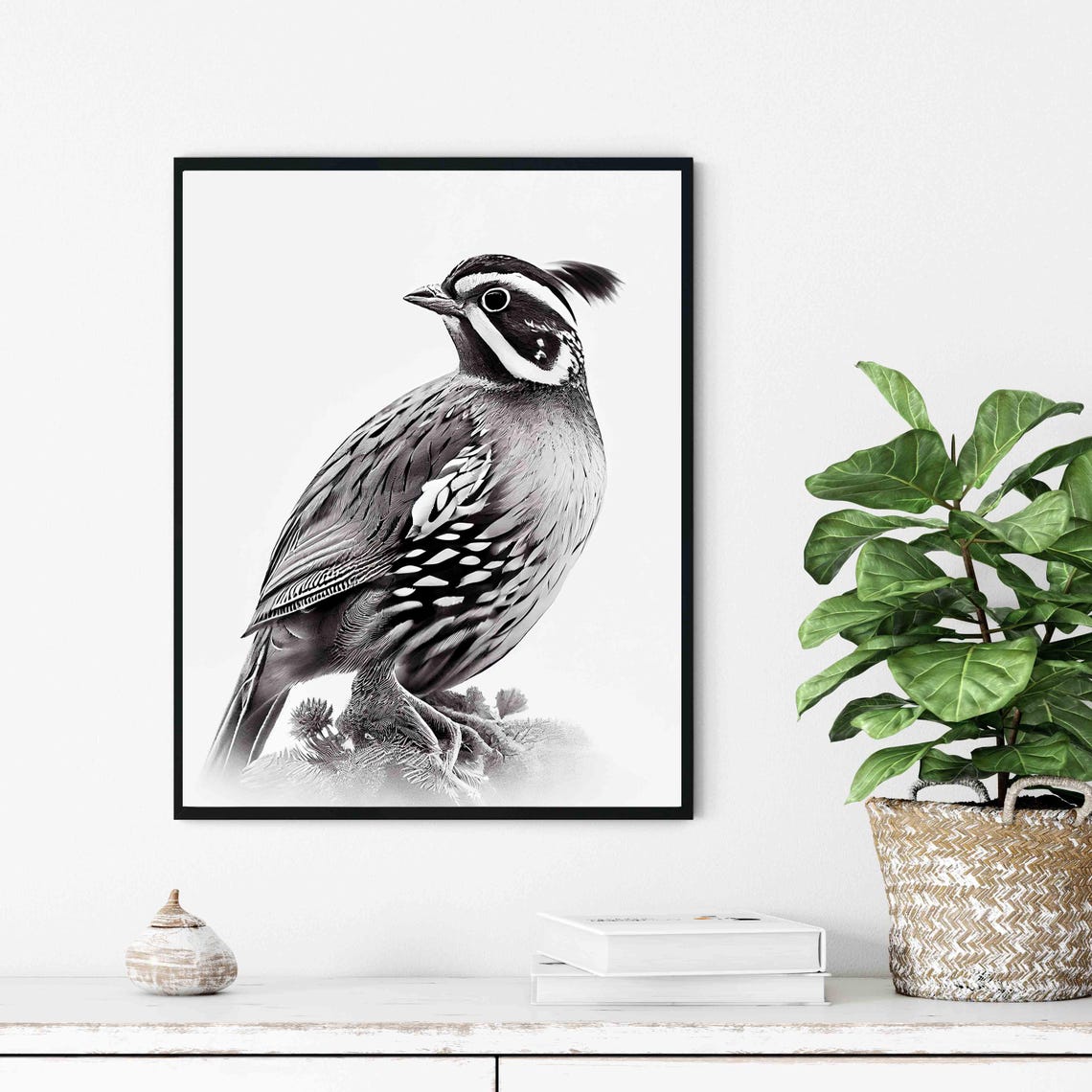 Crested Quail Perched Portrait in Black and White Art Poster - Image 4