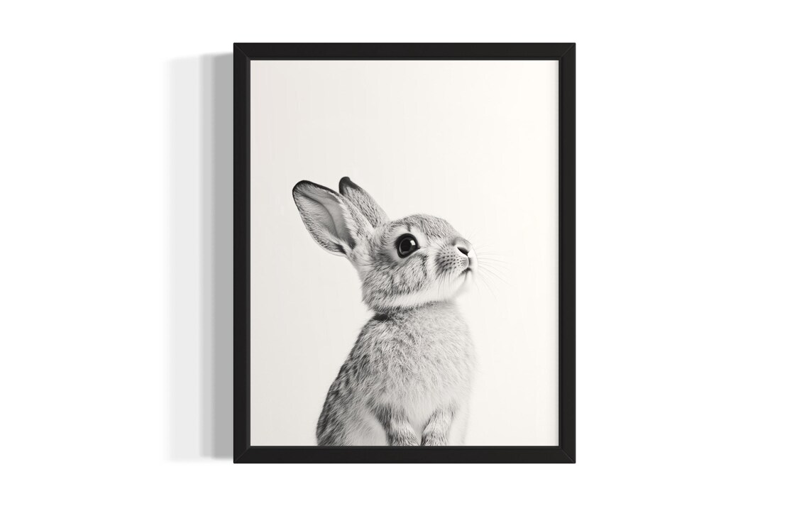 Rabbit Animal Black And White Poster Art Print Living Room Wall Original Paint Artwork Decor