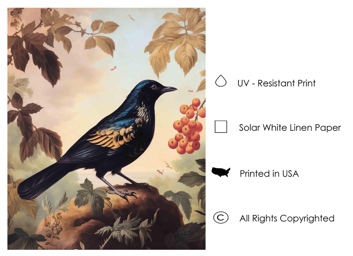 Glossy Starling Perched with Orange Berries Vintage Songbird Poster - Image 3