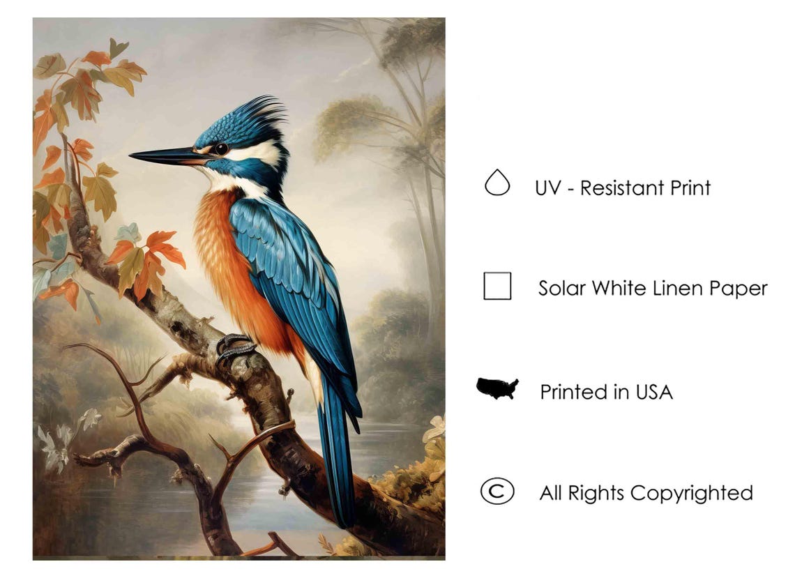 Kingfisher Over a Quiet River Vintage Bird Illustration Poster - Image 4