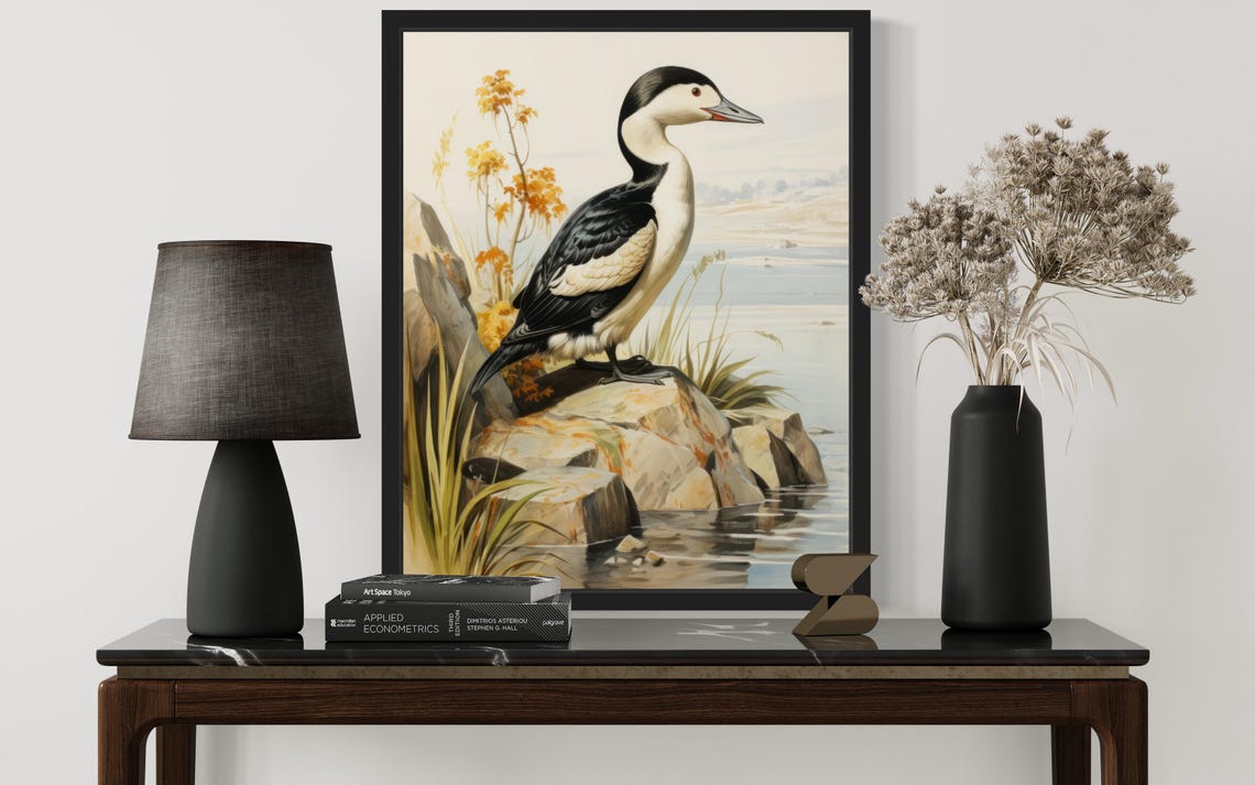 Common Eider Drake Standing on Seaside Rocks Vintage Sea Duck Poster - Image 2
