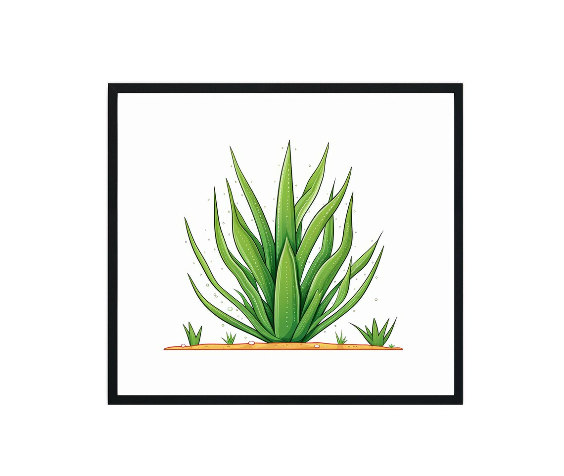 Aloe Vera Plant Succulent Botanical Illustration Artwork Poster