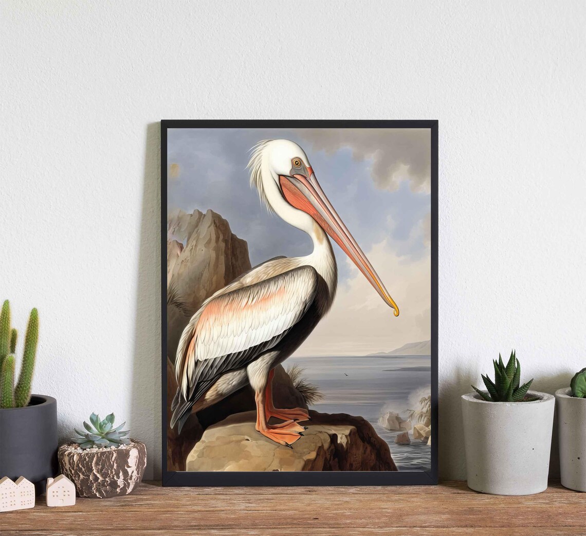 White Pelican on a Coastal Rock Vintage Bird Illustration Poster - Image 4