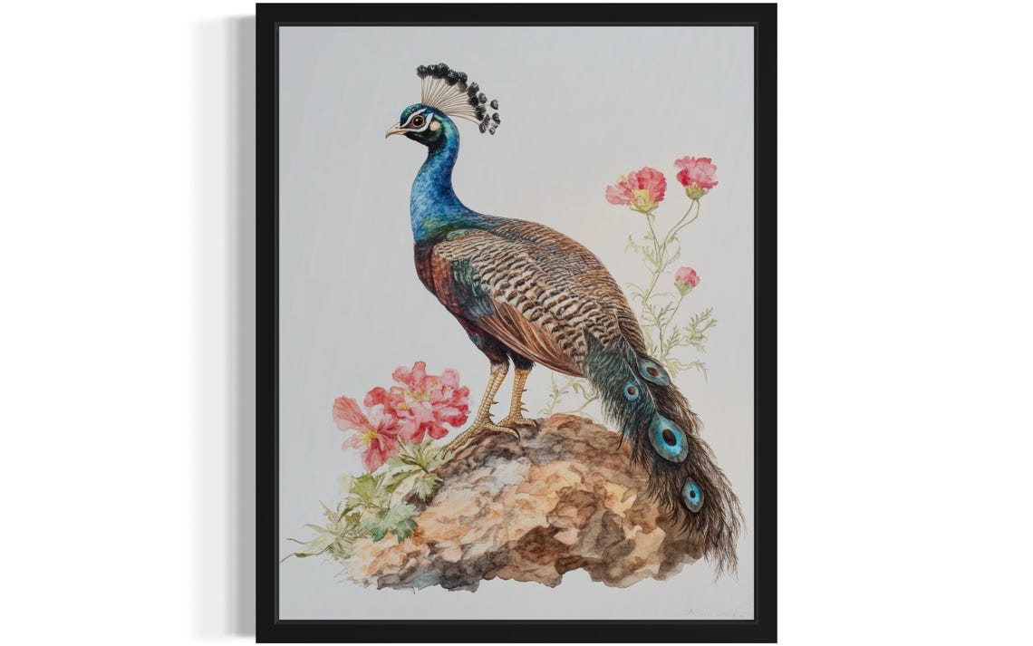Peahen on a Rocky Perch with Pink Blossoms Watercolor Poster