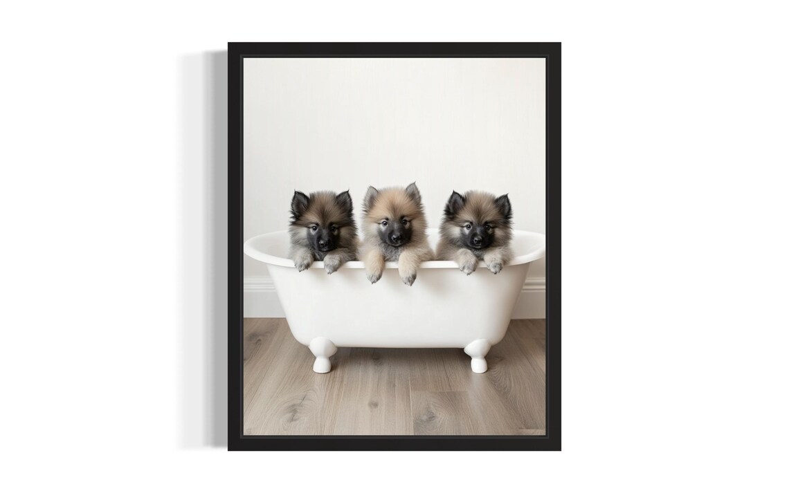 Three Fluffy Keeshond Puppies In White Bathtub Cute Dog Poster