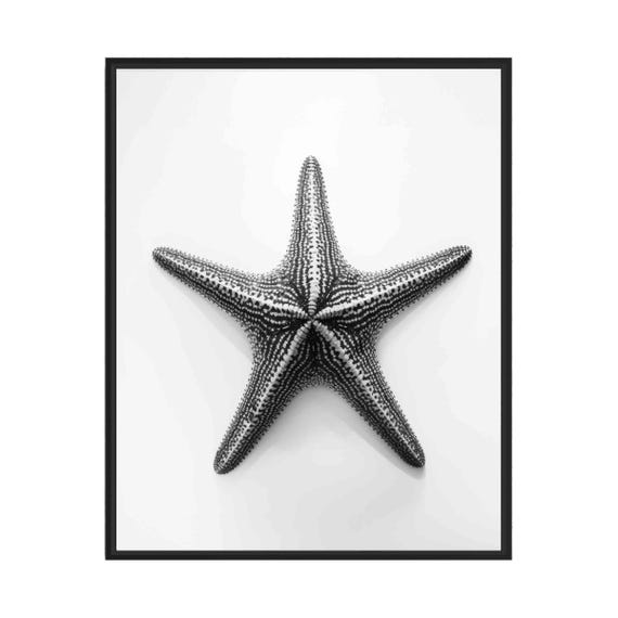 Starfish Black And White Animal Art Print Wall Art Poster Original Paint Artwork Artwork Decor