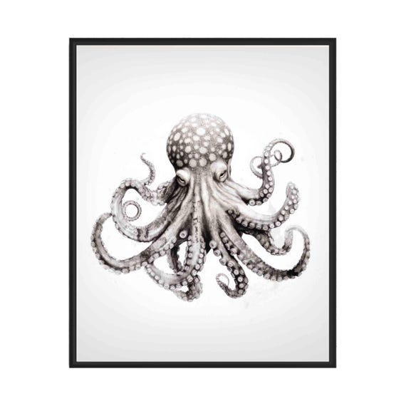 Octopus Black And White Animal Art Print Wall Art Poster Original Paint Artwork Artwork Decor
