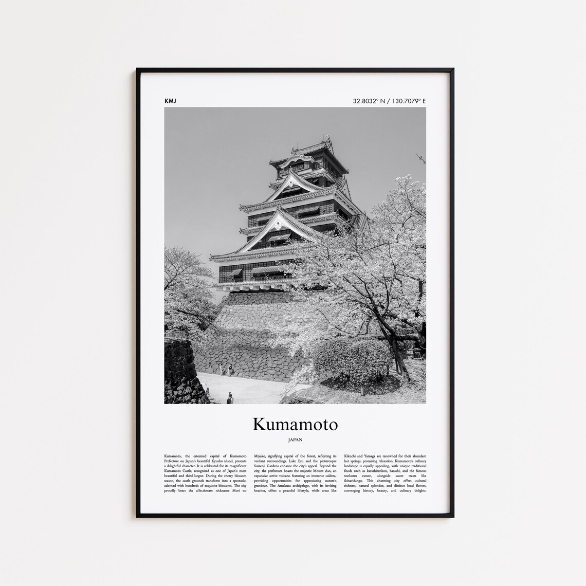Kumamoto Japan Black And White Castle Cherry Blossom Travel Poster
